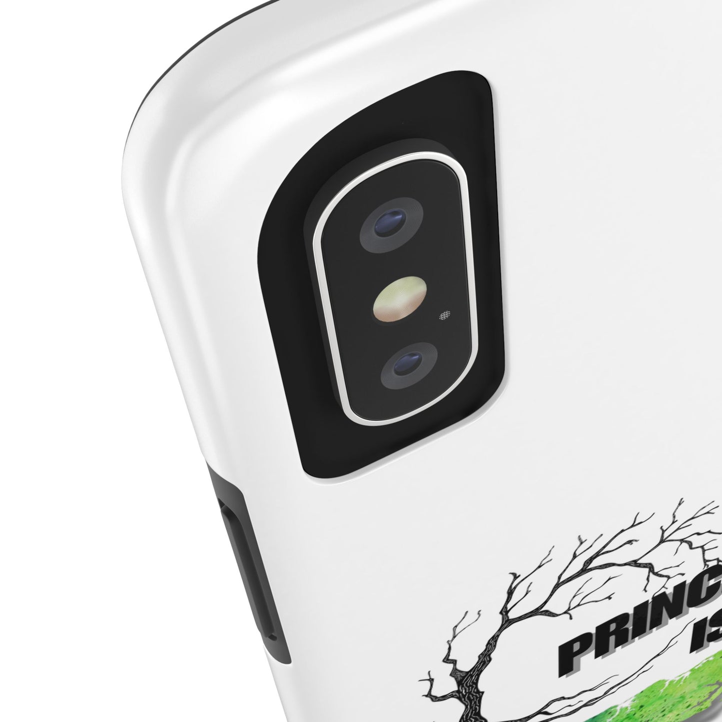 Prince Edward Island 17 / Tough Phone Cases