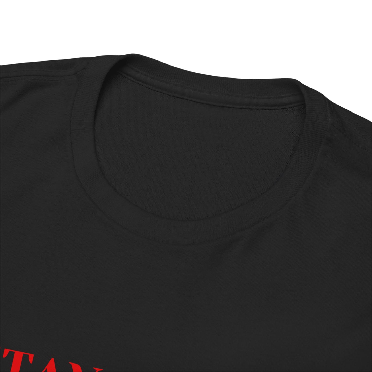 Stay Inspired Unisex Heavy Cotton Tee