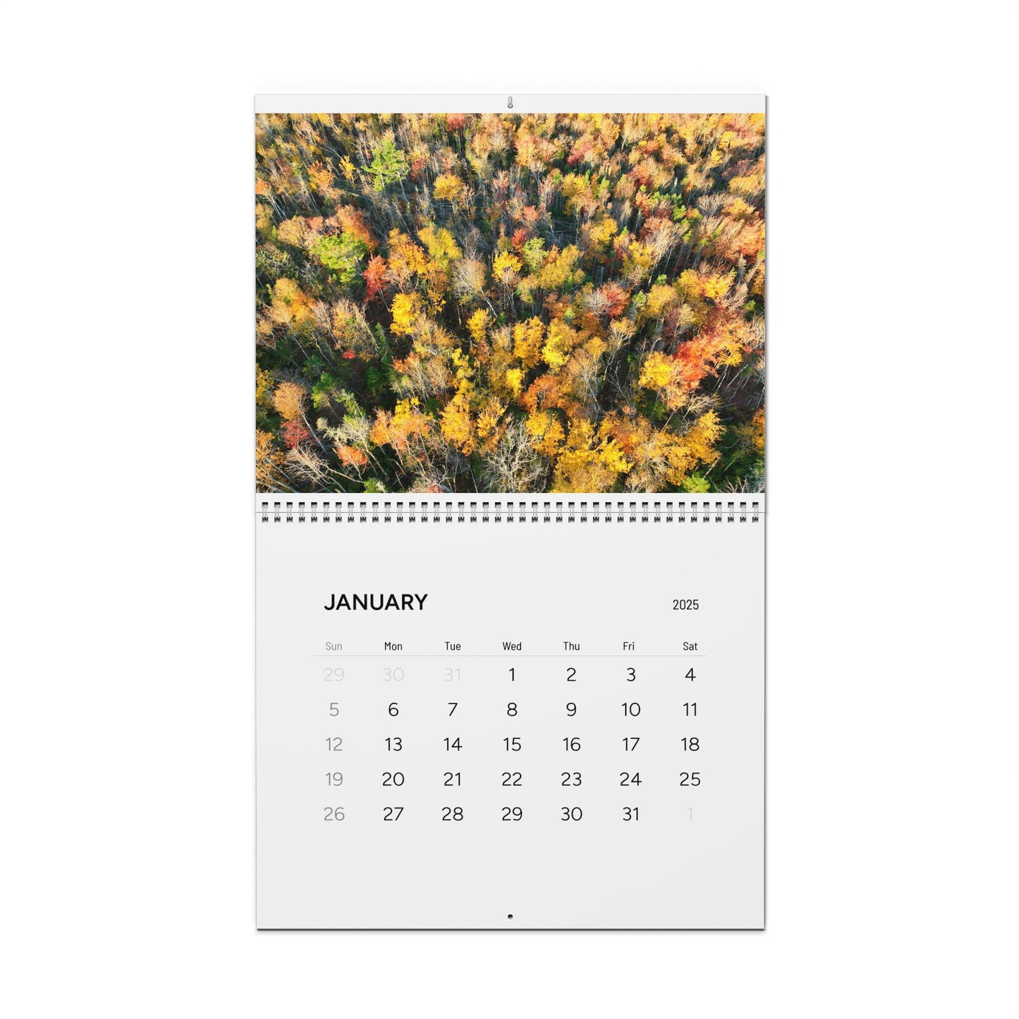 Aerial Art / Wall Calendars (2025)