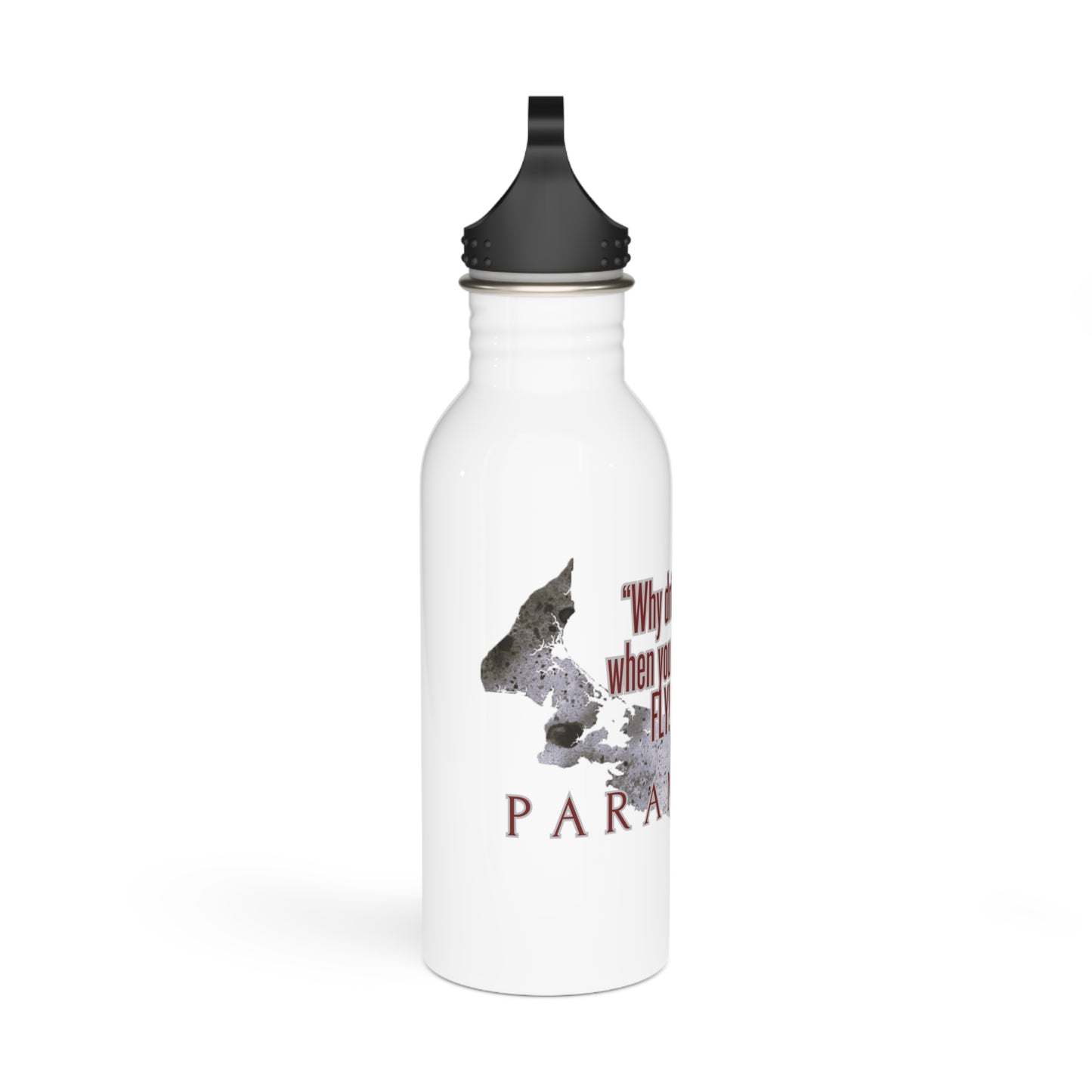 Why drive when you can Fly / Paramotor / Stainless Steel Water Bottle