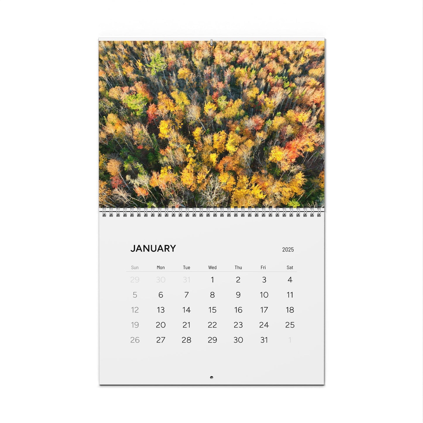 Aerial Art / Wall Calendars (2025)