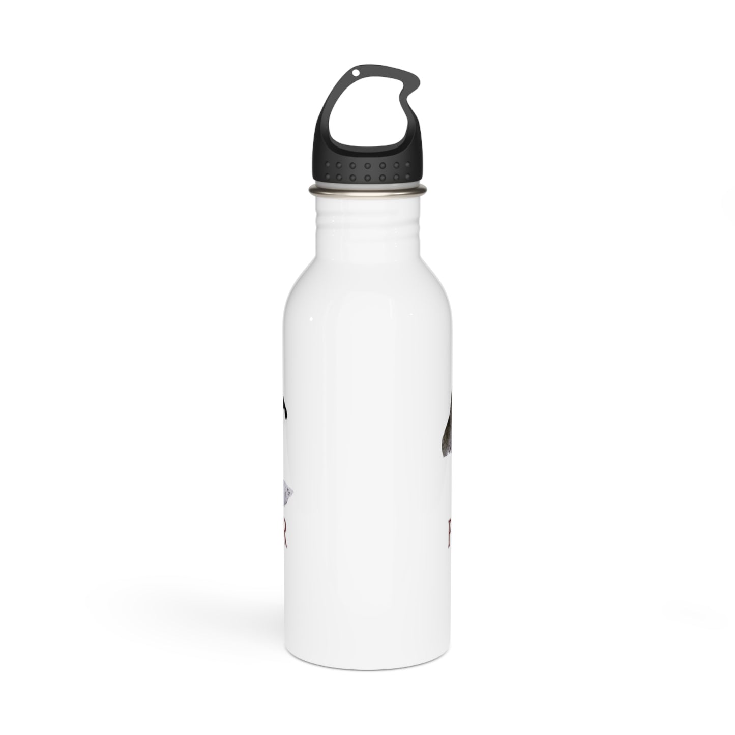 Why drive when you can Fly / Paramotor / Stainless Steel Water Bottle