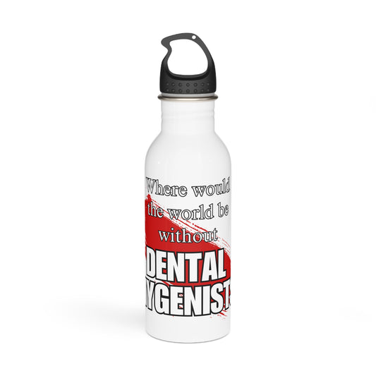 Where would the world be without Dental Hygenists / Stainless Steel Water Bottle